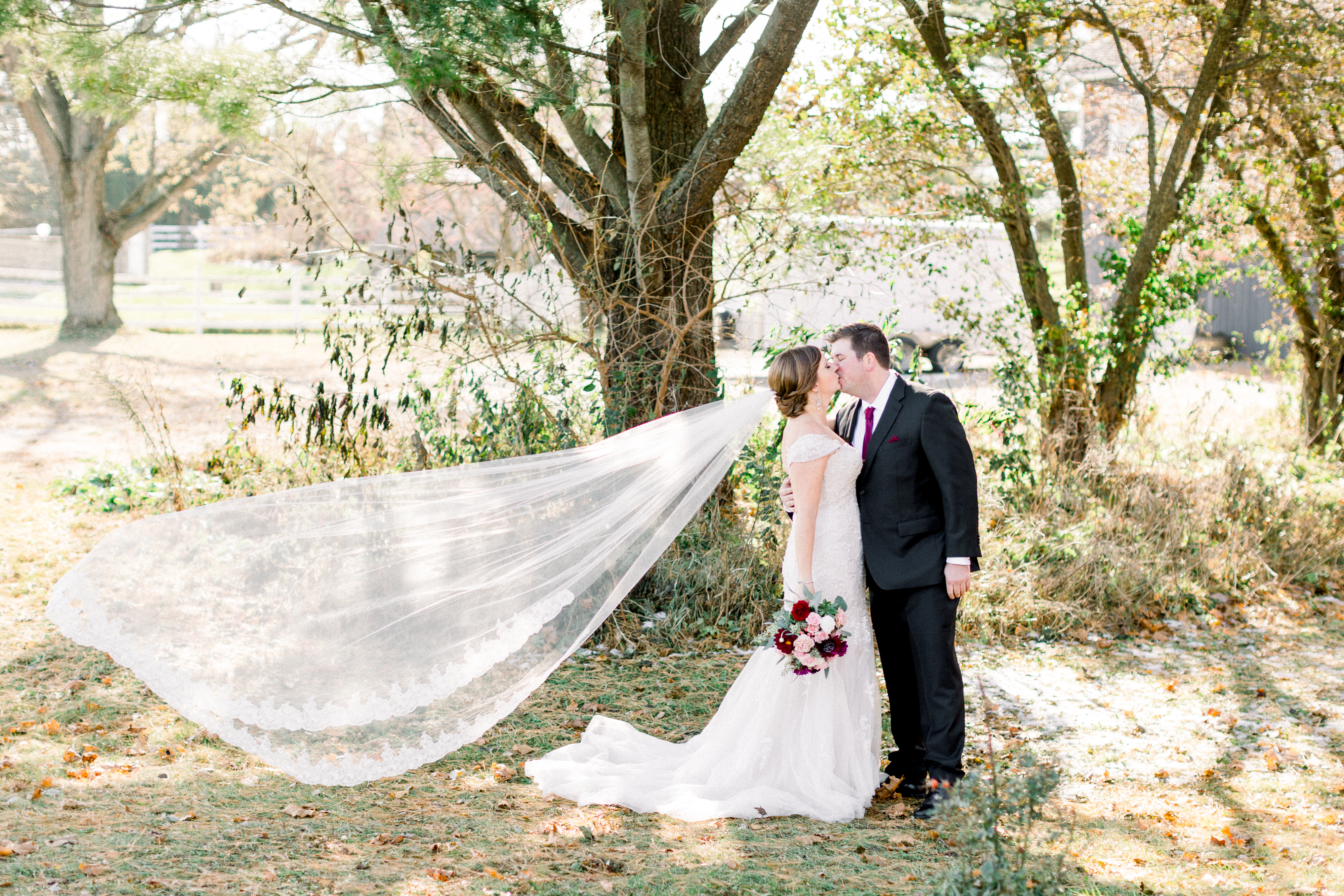 cathedral length lace edge veil